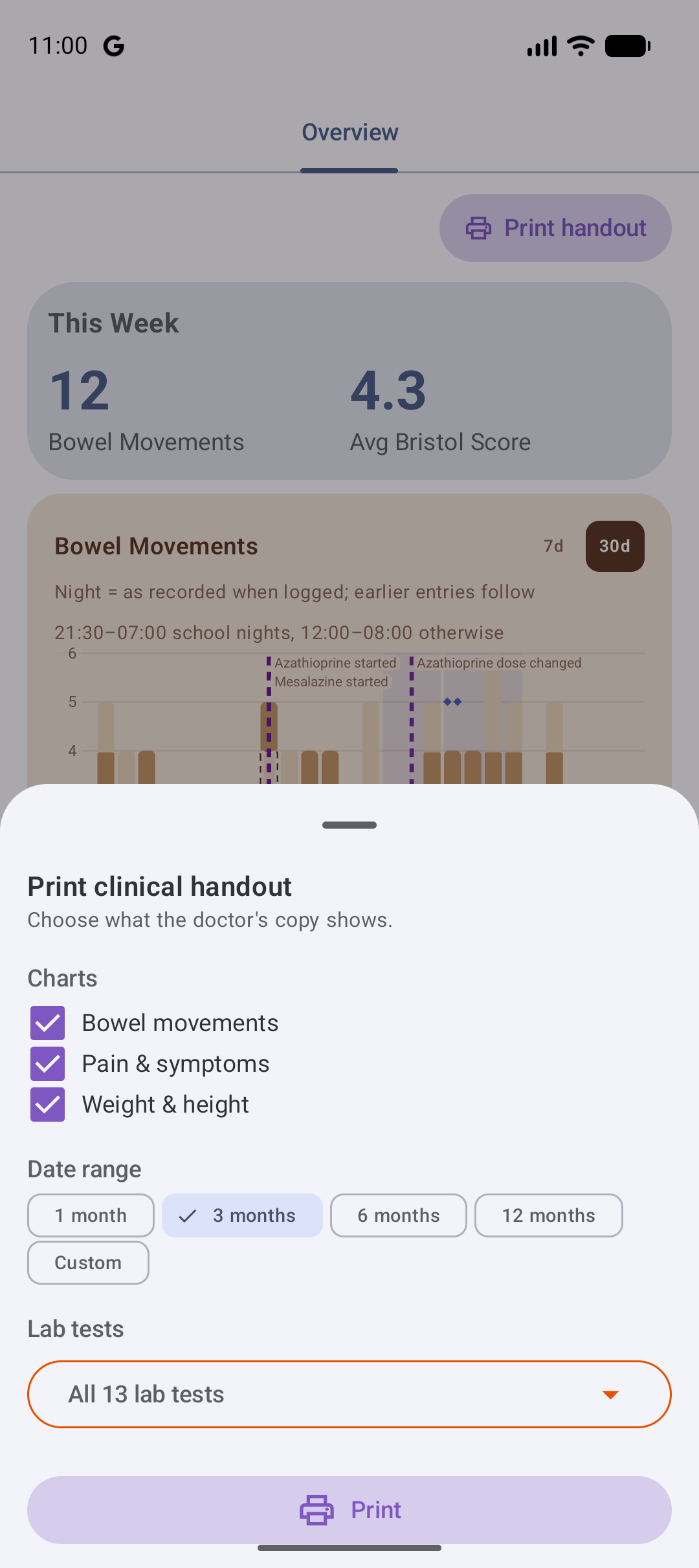 The print handout sheet: chart tick-boxes, the date-range presets with three months selected, the lab tests to include, and the Print button